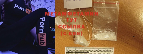 индика Покачи