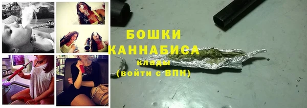 индика Покачи