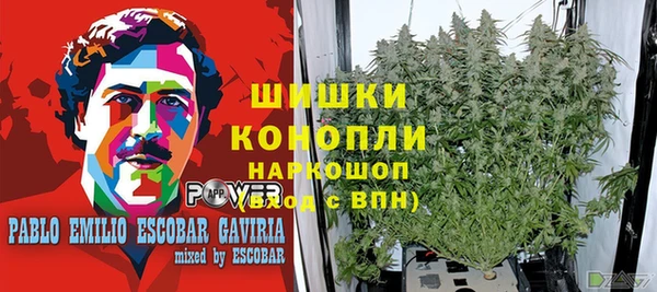 индика Покачи