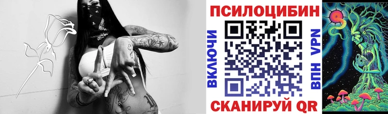 Псилоцибиновые грибы GOLDEN TEACHER  Вилючинск 